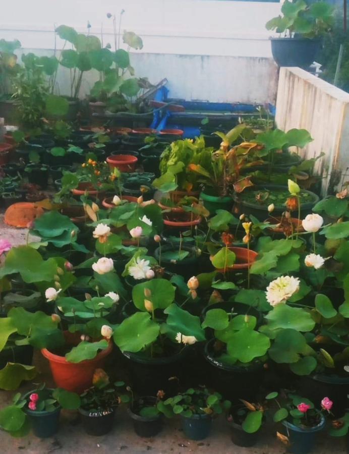 Kochi Raelyn'S Homestay מראה חיצוני תמונה