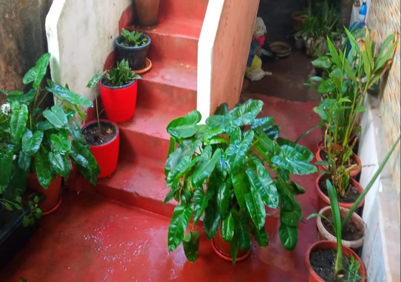 Kochi Raelyn'S Homestay מראה חיצוני תמונה