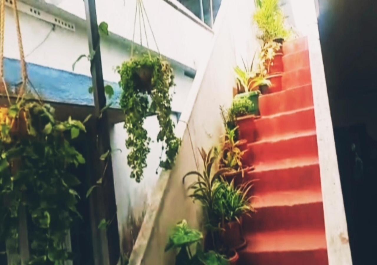 Kochi Raelyn'S Homestay מראה חיצוני תמונה